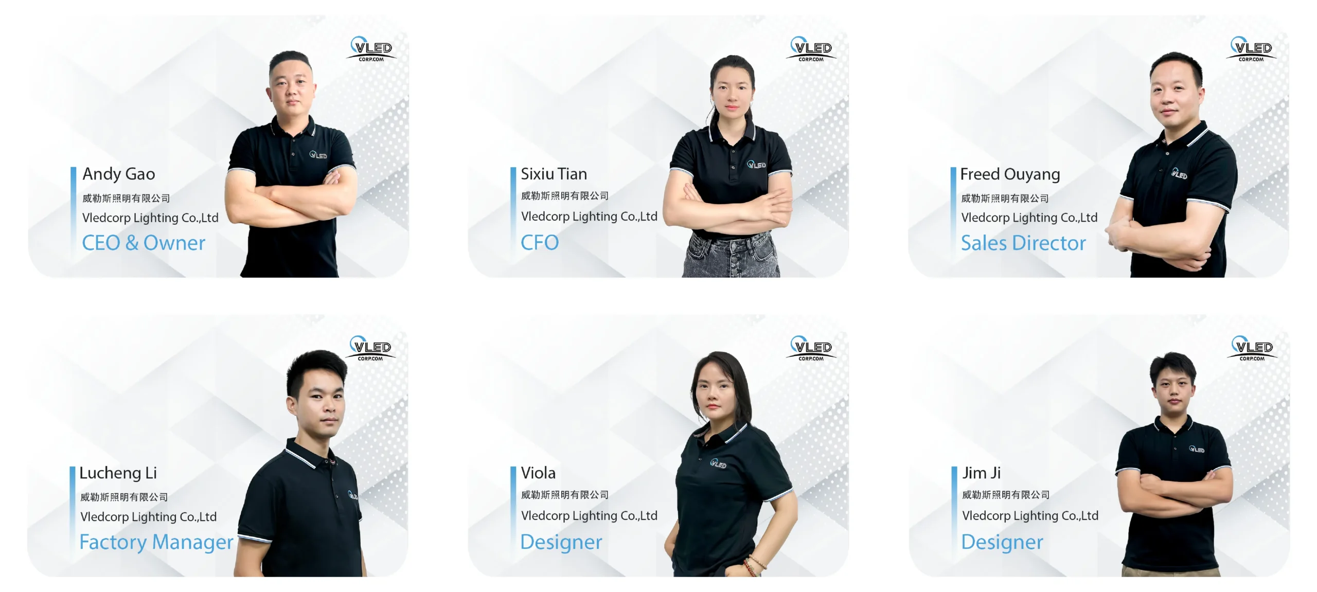 soffit lights Team Introduction
